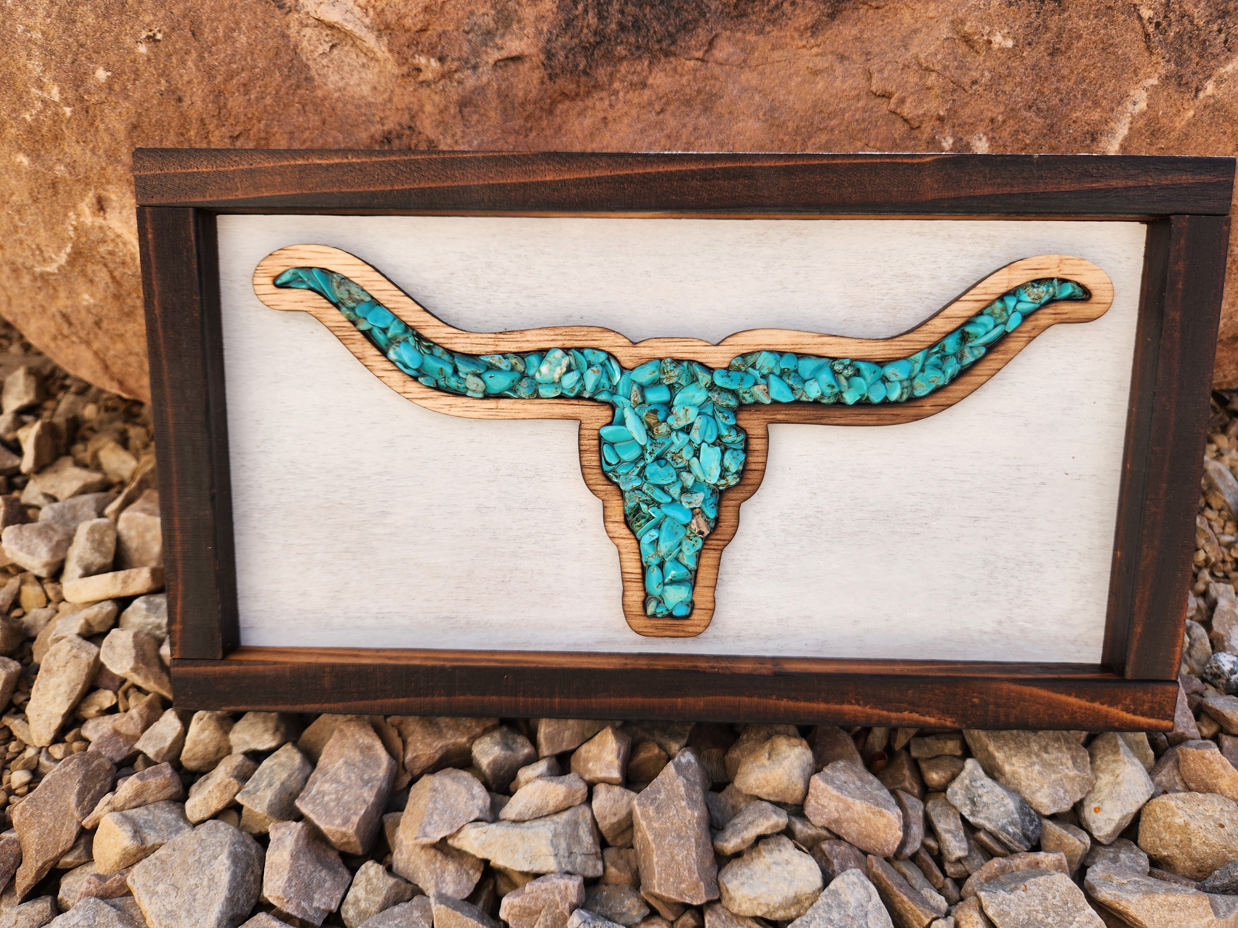 Longhorn Decor