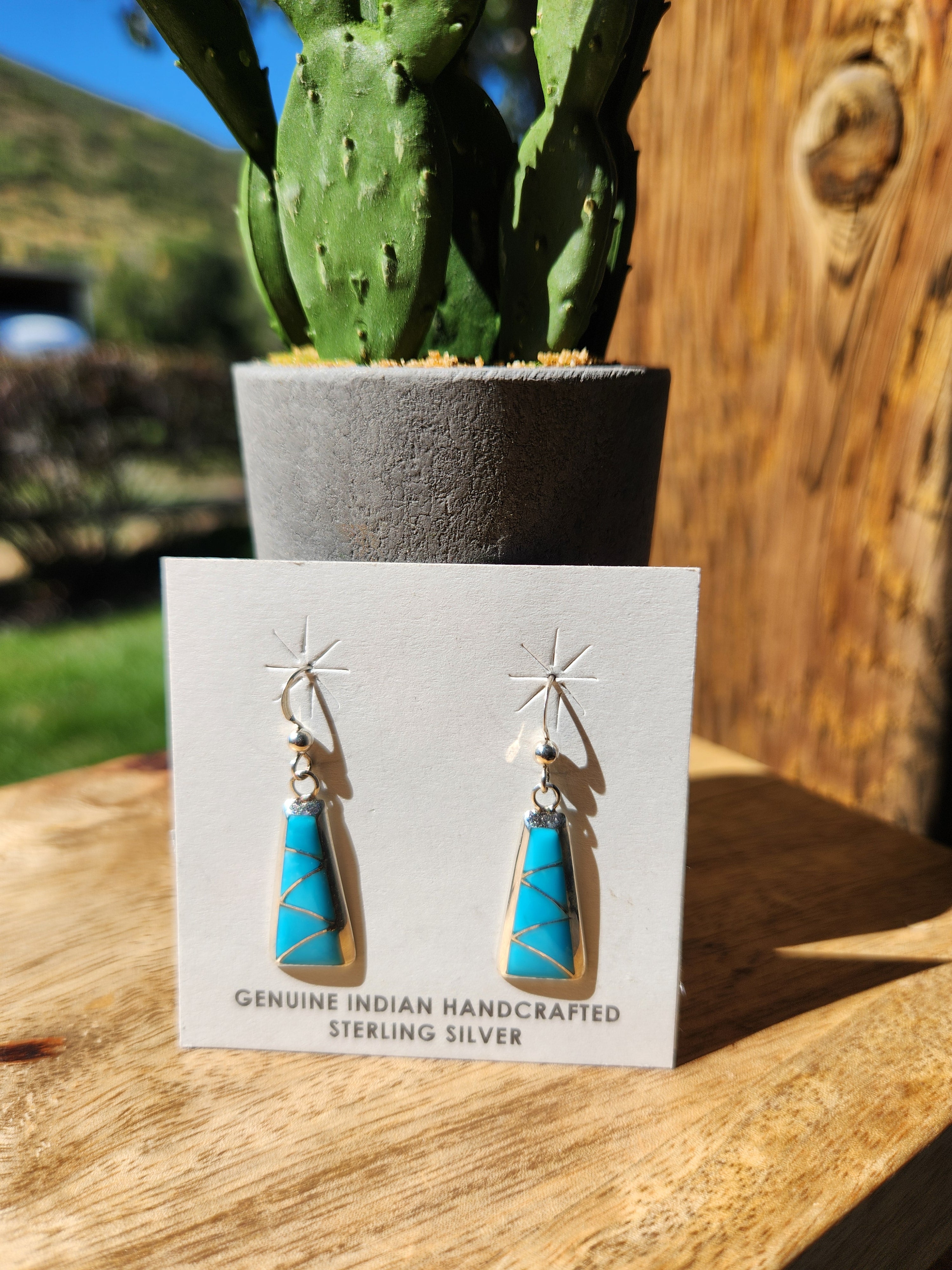 Stewart Tucson Turquoise and Sterling Silver Earrings